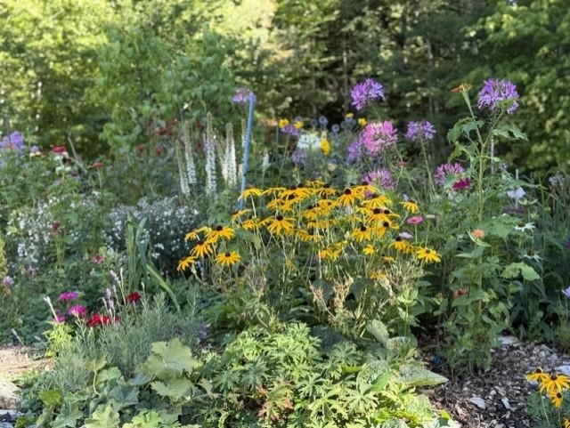 381 Toad Hill Road Sugar Hill, NH 03586 - Photo 26 of 59 Gallery Image 26
