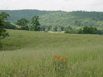 31 River Road Butler, KY 41006 - Photo 3 of 8 Gallery Image 3