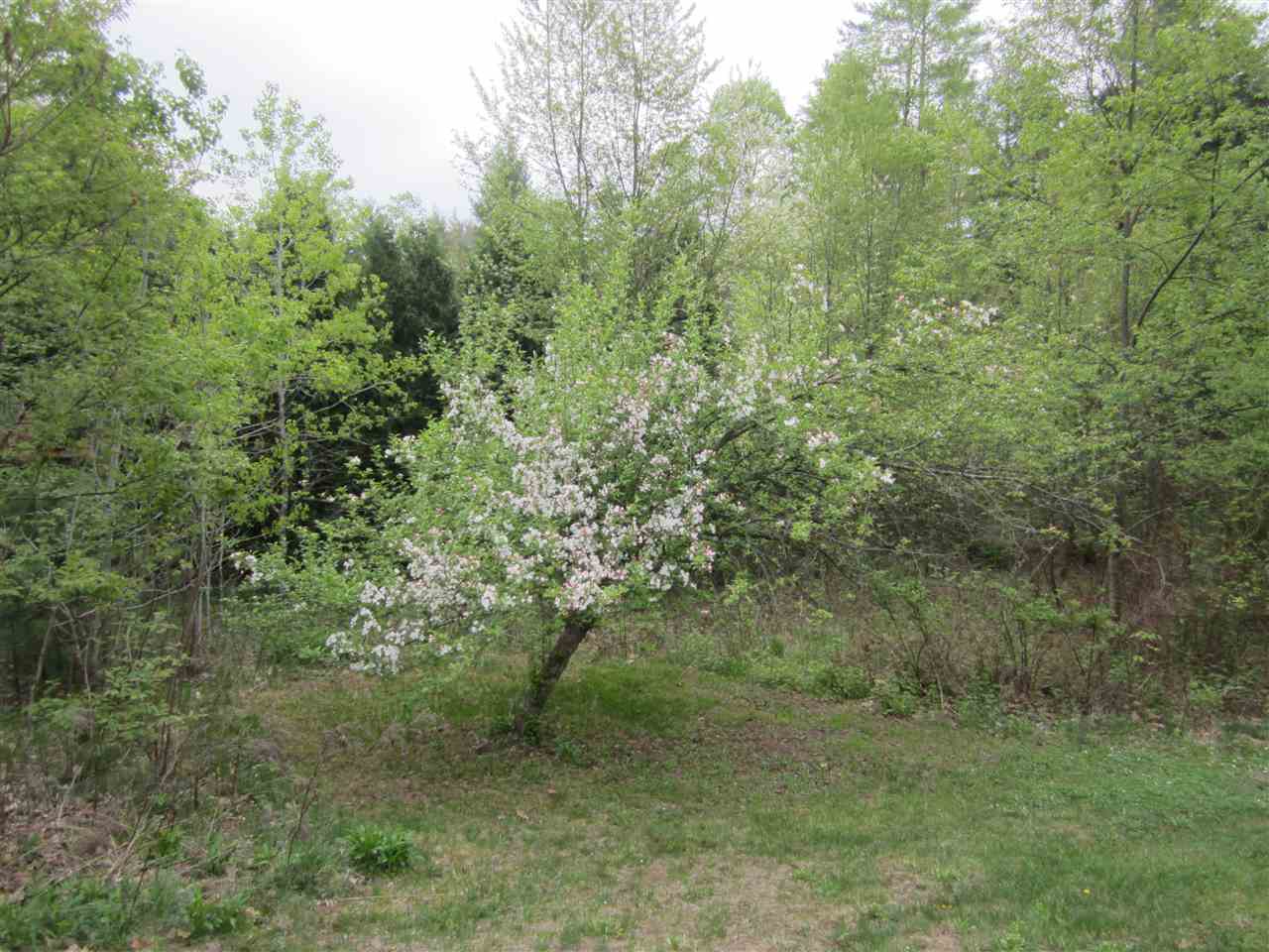 42 Warmac Road Swanzey, NH 03446 - Photo 26 of 32 Gallery Image 26