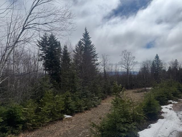 639 Pinnacle Road Newark, VT 05871 - Photo 32 of 38