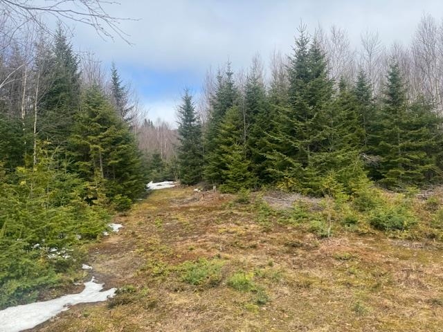 639 Pinnacle Road Newark, VT 05871 - Photo 33 of 38