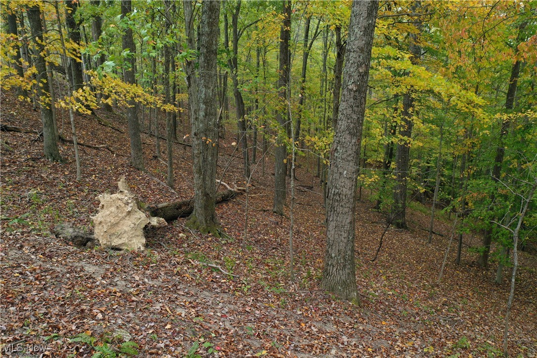731 Riffle Run Road Grantsville, WV 26147 - Photo 19 of 30