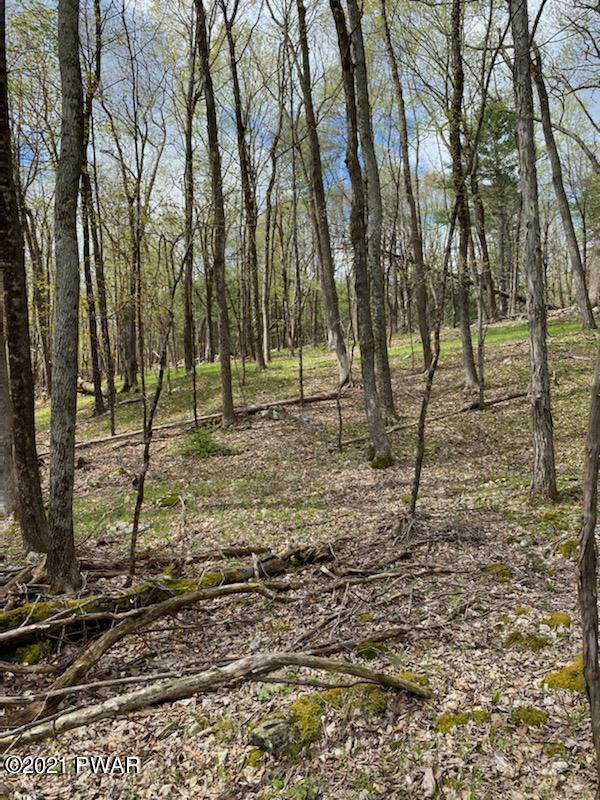 4-5 Park Road Dingmans Ferry, PA 18328 - Photo 11 of 13
