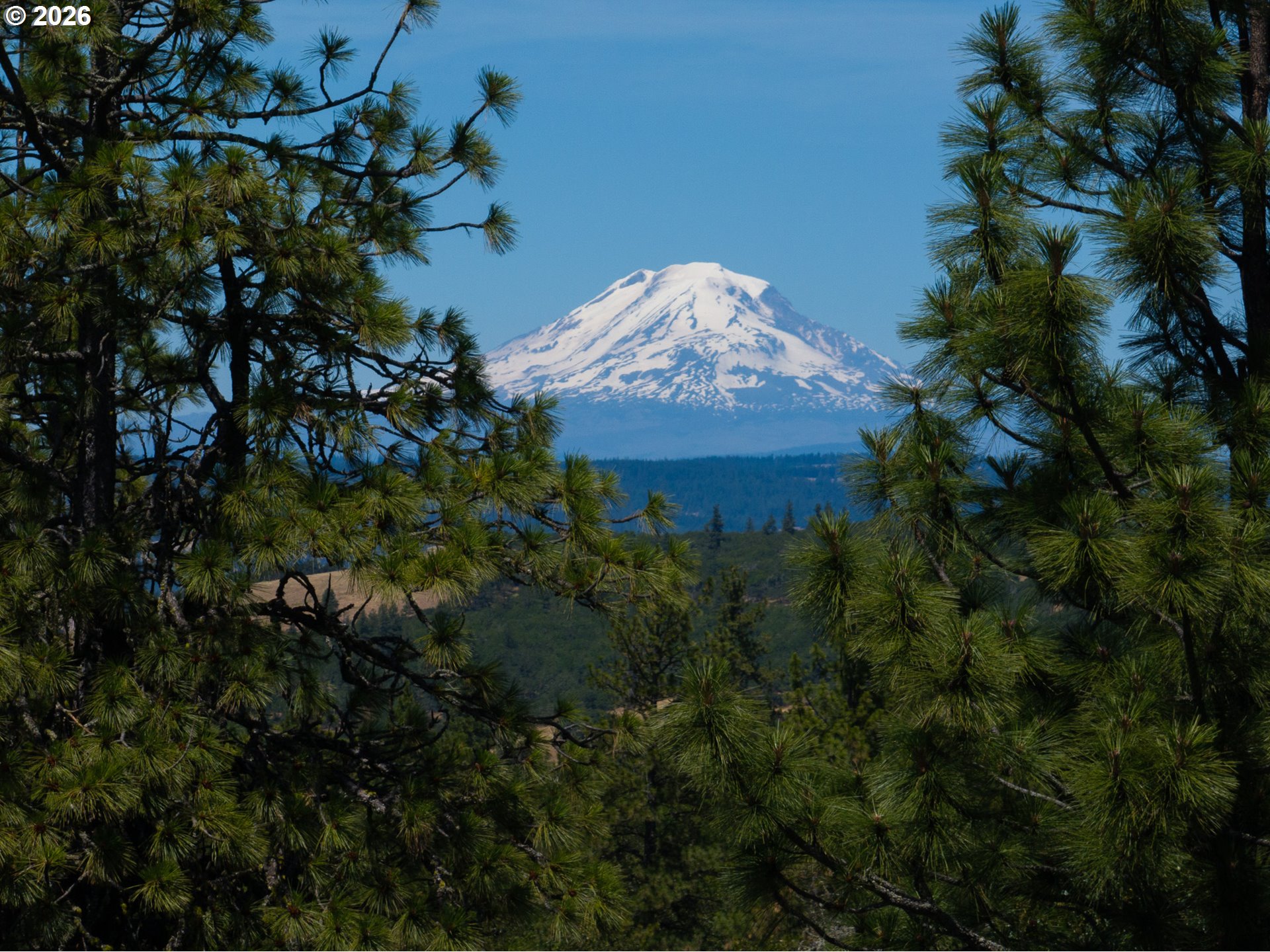 6667 7 Mile Hill Road The Dalles, OR 97058 - Photo 5 of 28