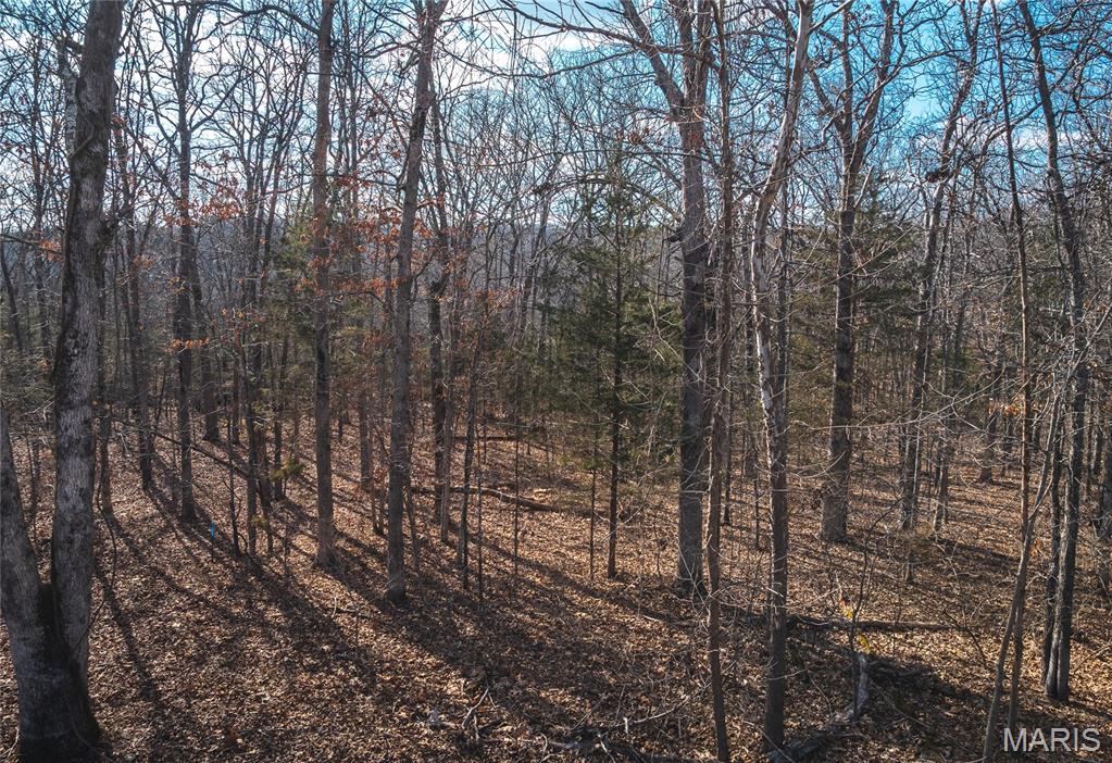 10535 Limestone Lane Rolla, MO 65401 - Photo 60 of 74