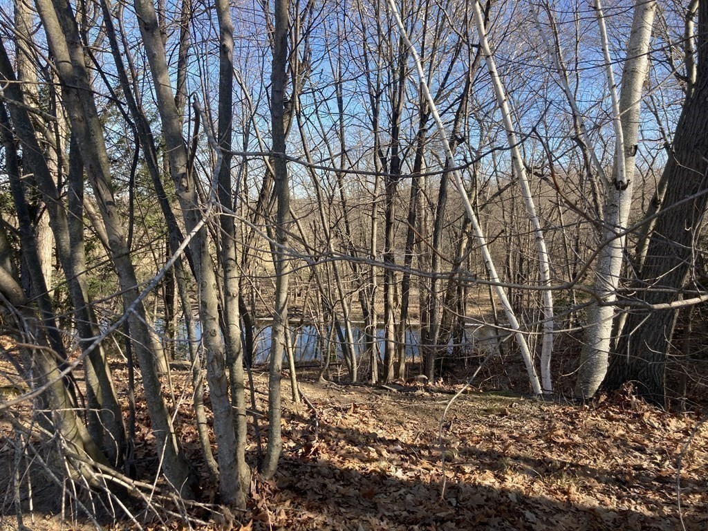 19 Fort Hill Road Easthampton, MA 01027 - Photo 10 of 40 Gallery Image 10