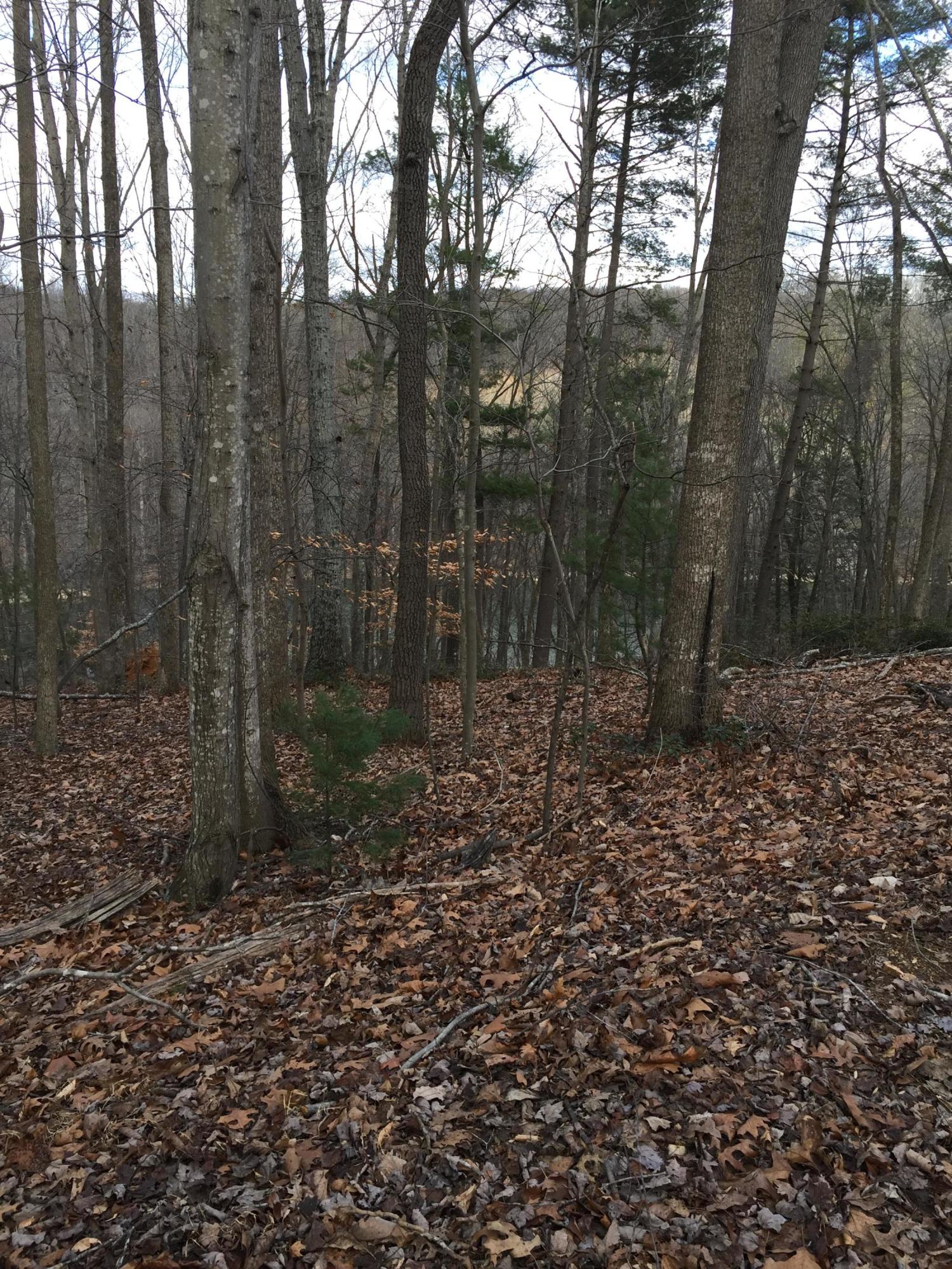 Lot 89 Lakeshore Terrace Road Hardy, VA 24101 - Photo 8 of 8 Waterfront Lot