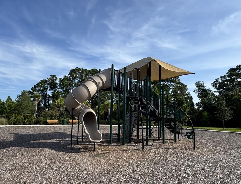 17006 Seville Orange Road Winter Garden, FL 34787 - Photo 11 of 11