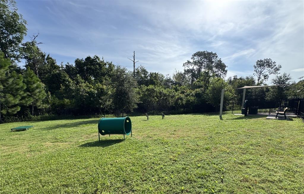 17006 Seville Orange Road Winter Garden, FL 34787 - Photo 10 of 11