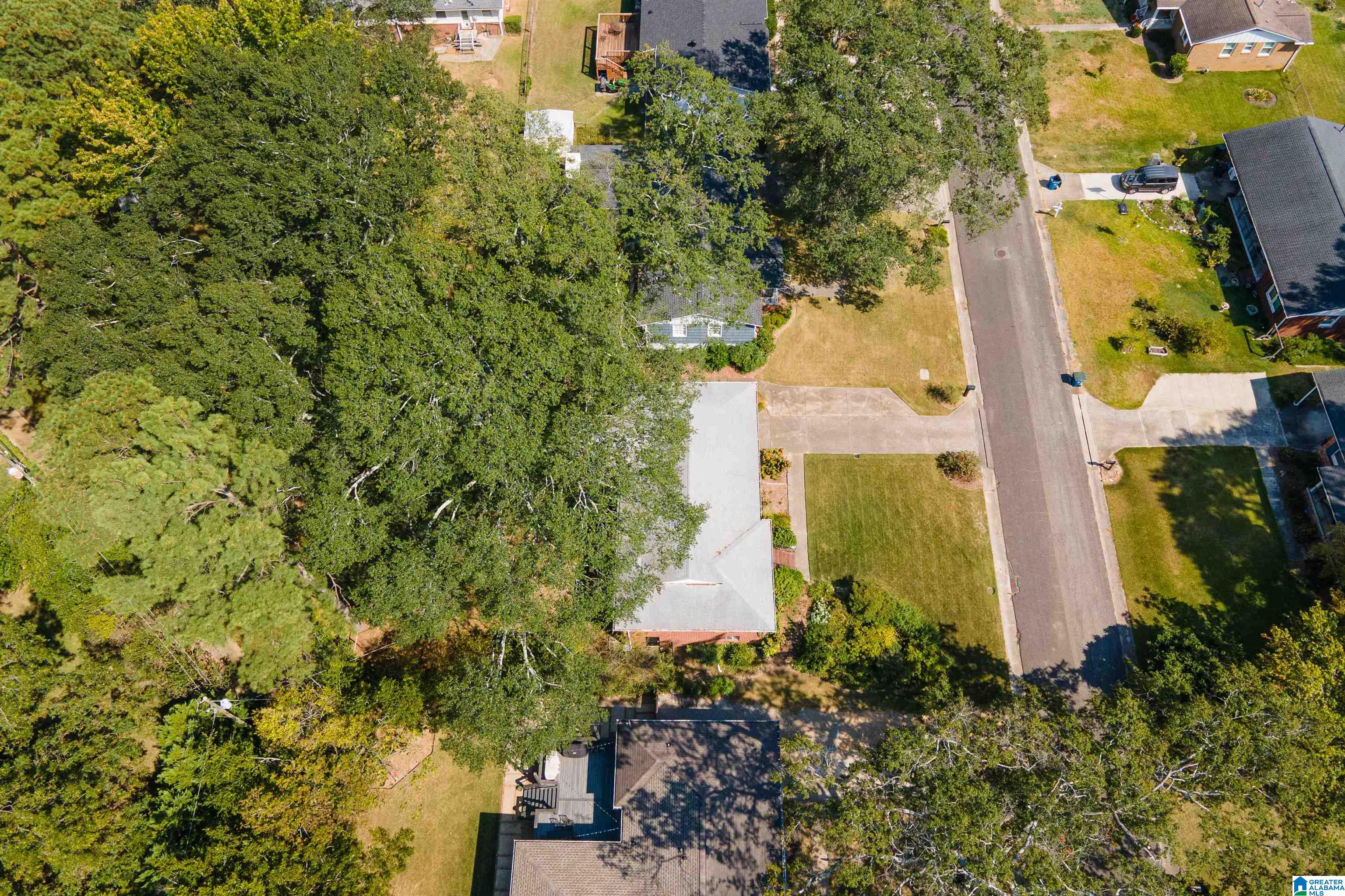 148 Ridgemoor Drive Birmingham, AL 35209 - Photo 44 of 52