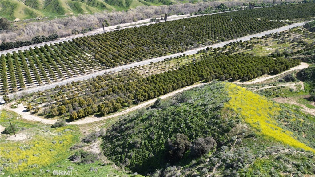 0 San Timoteo Canyon Road Redlands, CA 92373 - Photo 4 of 6 a view of a garden with a bench