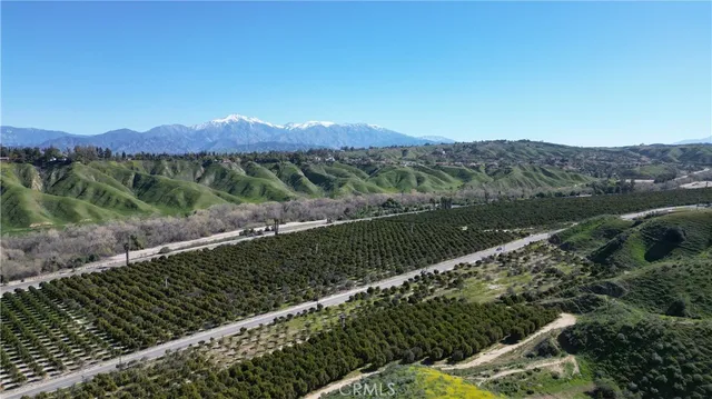 a view of a back yard
