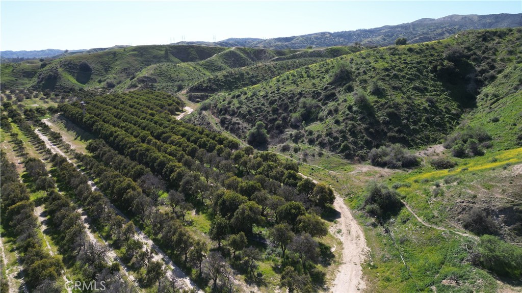 0 San Timoteo Canyon Road Redlands, CA 92373 - Photo 6 of 6 a view of a lush green forest with trees