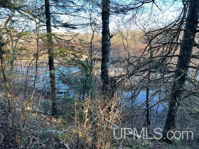 11812 East Howen Road Long Lake, WI 54542 - Photo 1 of 20
