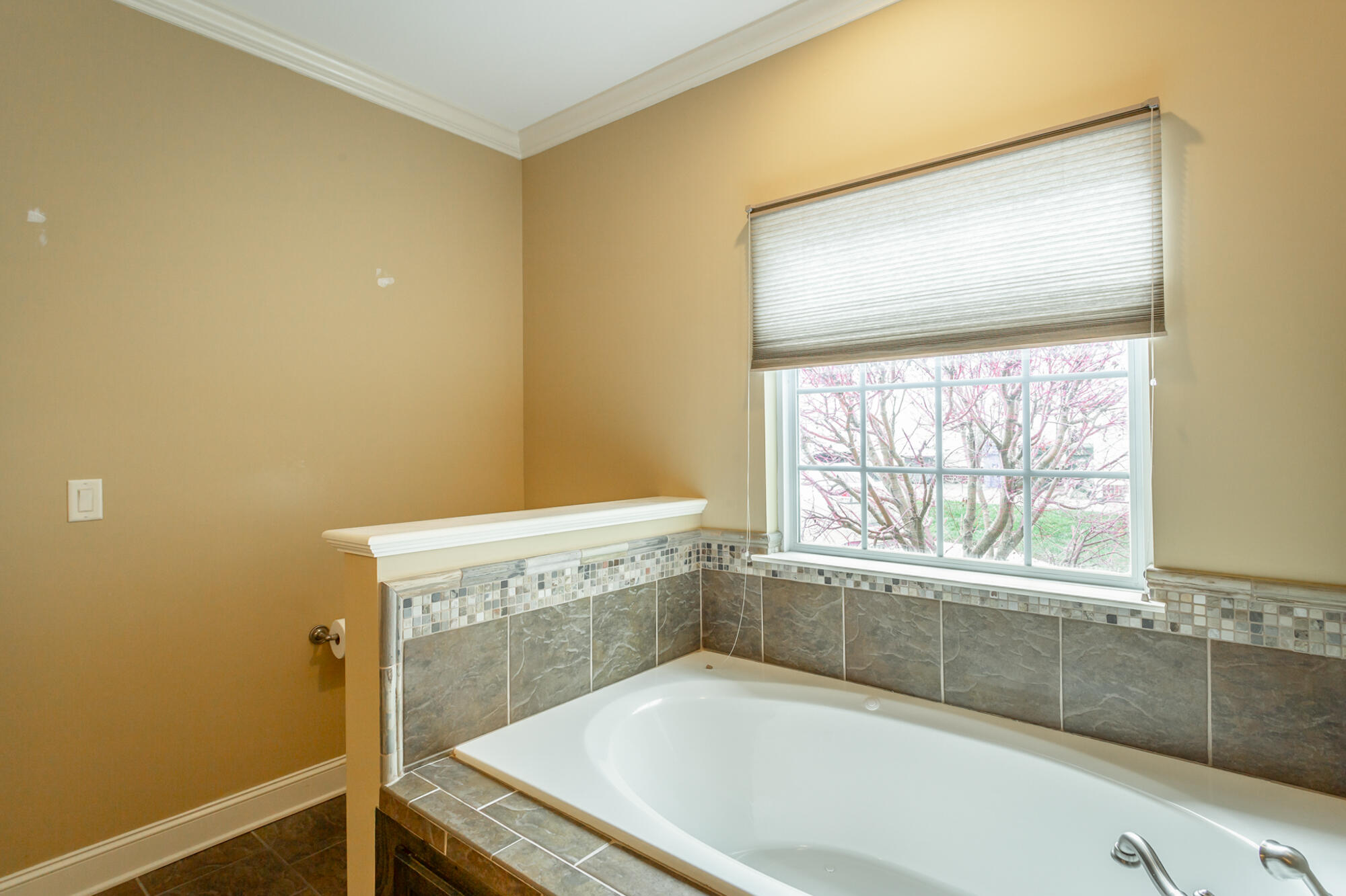 1046 Restoration Drive Chattanooga, TN 37421 - Photo 35 of 61 AIR Jetted Tub