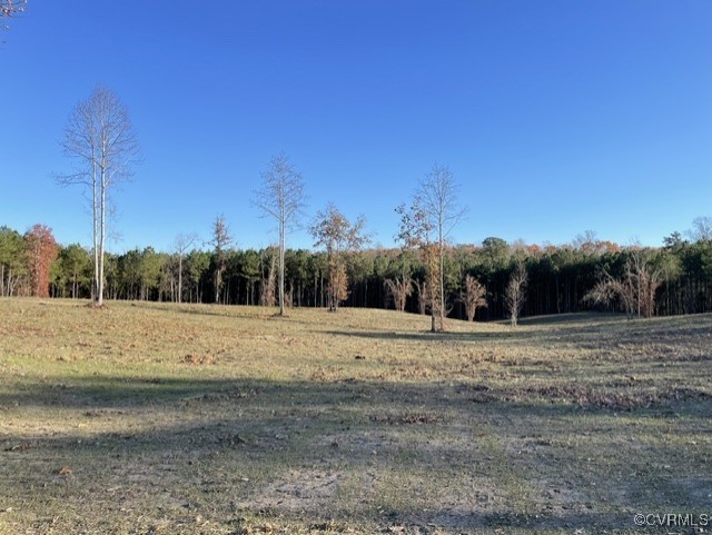 9950 Fire Tower Road Toano, VA 23168 - Photo 9 of 14 View of local wilderness
