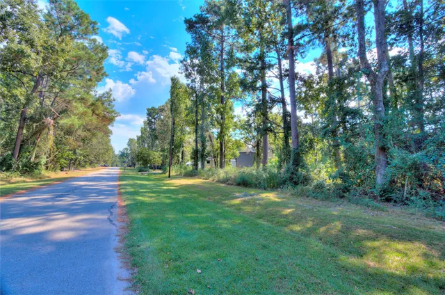 a view of a trees with a yard