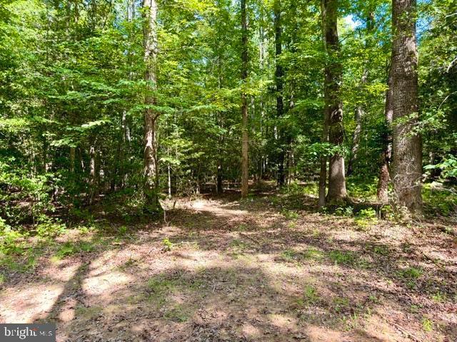 Countyline Church Road Woodford, VA 22580 - Photo 3 of 5