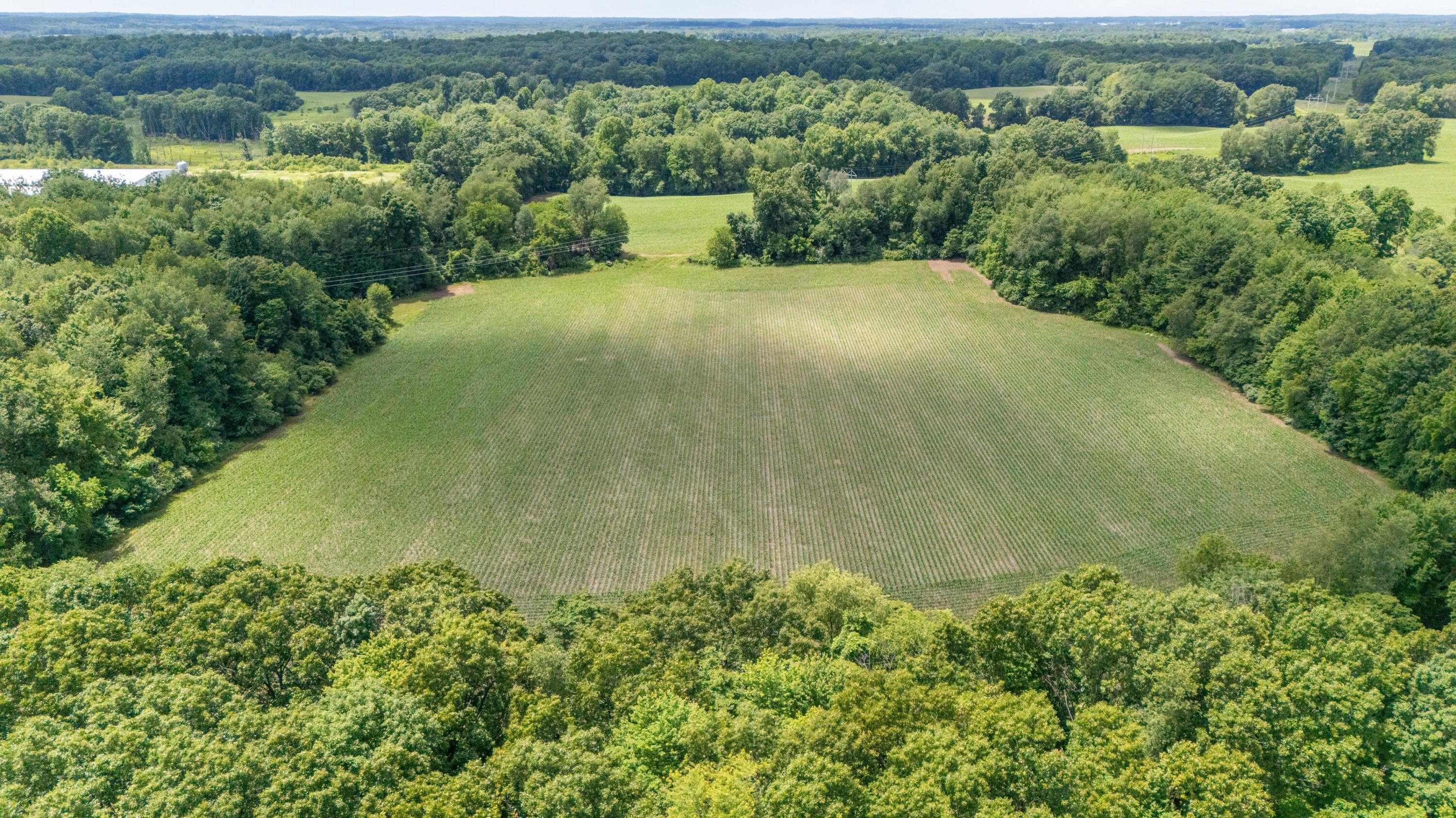 52402 Oak Plains Road Marcellus, MI 49067 - Photo 15 of 59 14DJI_20260626020601_0041_D