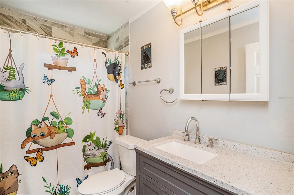 909 Silver Ridge Way Valrico, FL 33594 - Photo 12 of 15 a bathroom with a granite countertop sink a toilet and a mirror