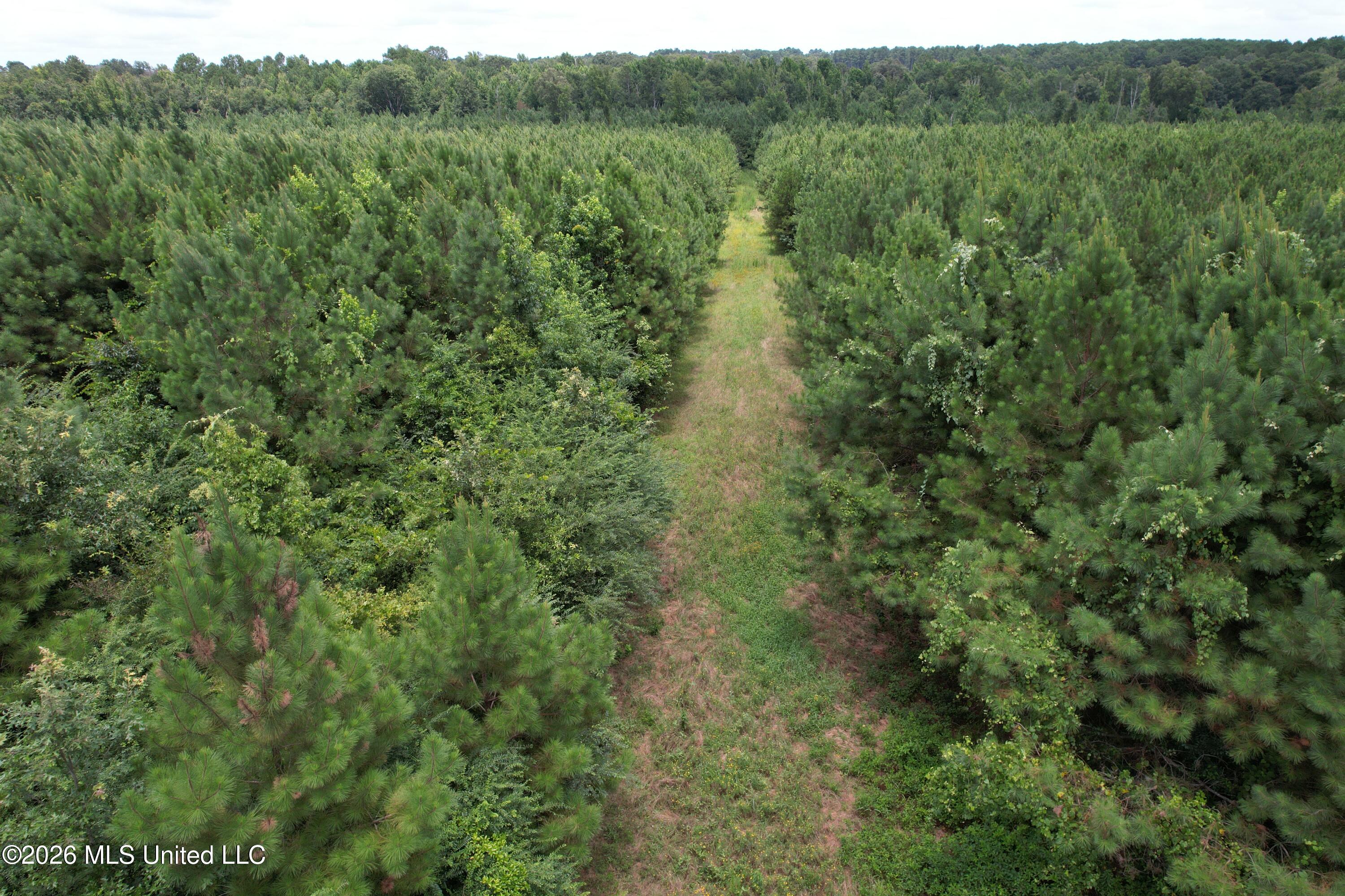 Smith County Road Pulaski, MS 39152 - Photo 9 of 47 DJI_0691
