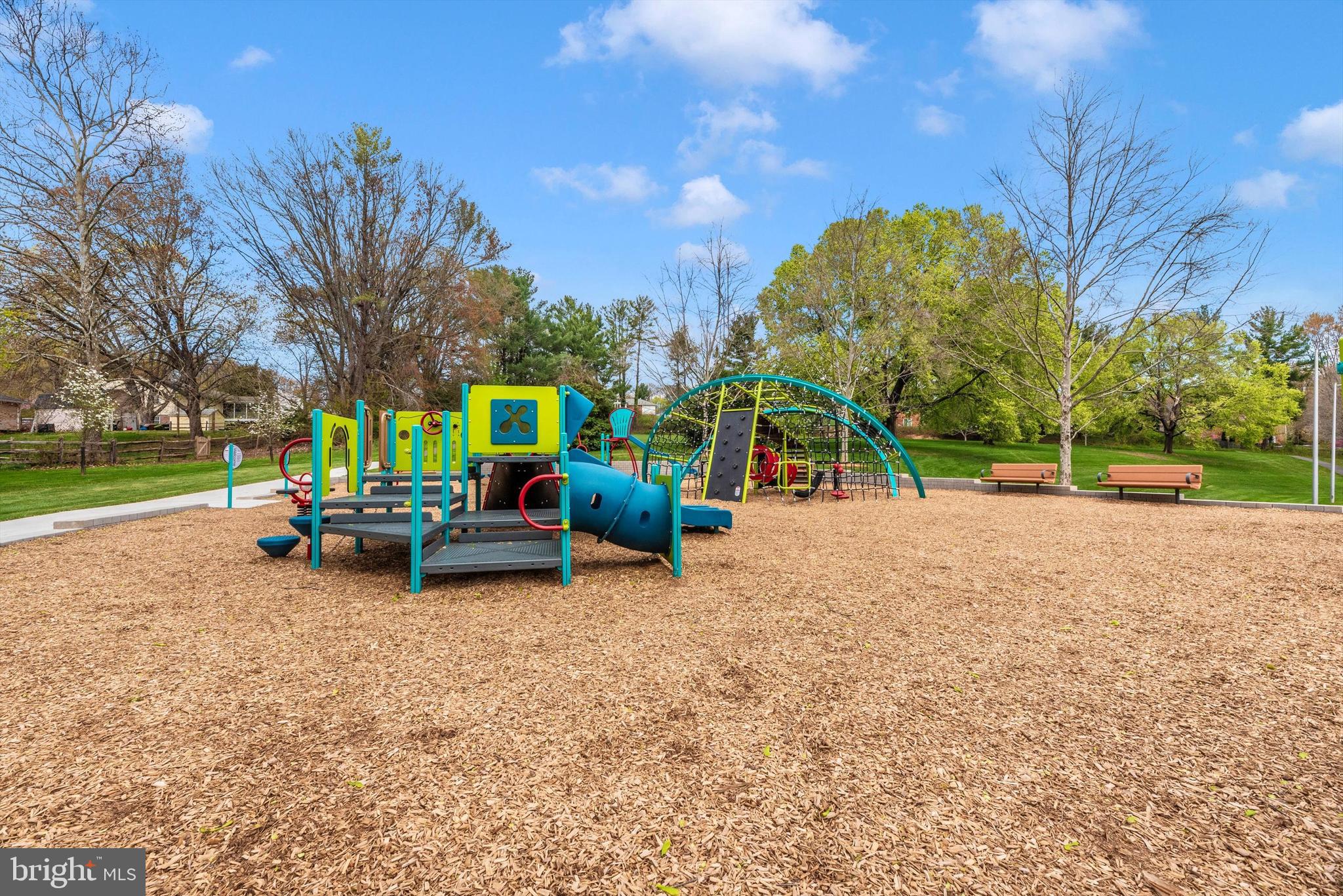 19605 Charline Manor Road Olney, MD 20832 - Photo 44 of 54 a view of a park with large trees