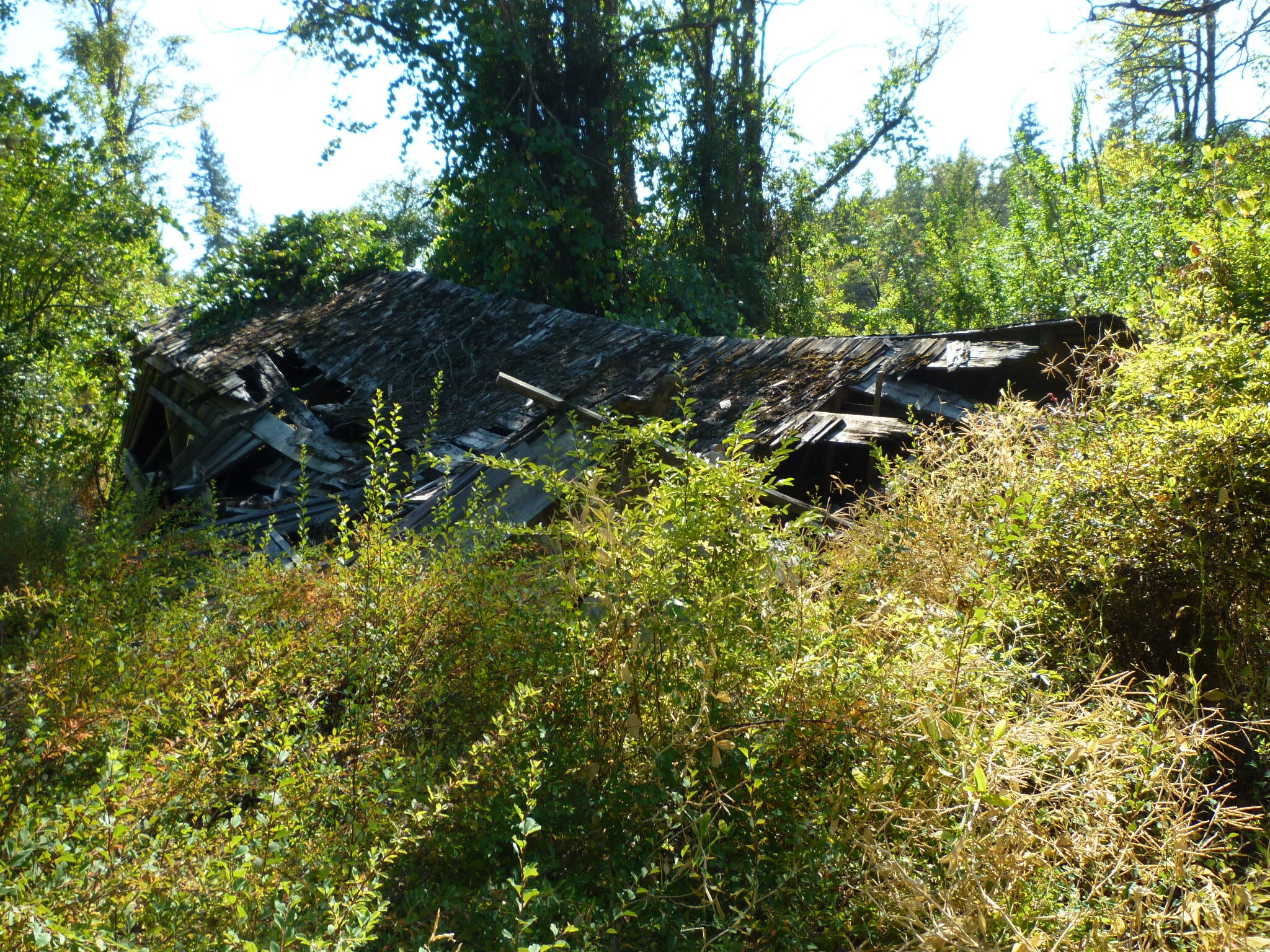 4125 Dick George Road Cave Junction, OR 97523 - Photo 30 of 50 P1160064