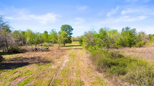 a view of a yard