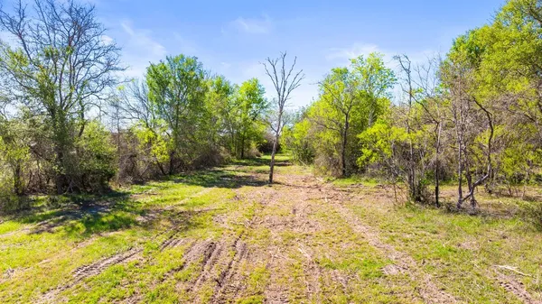 a view of yard with trees