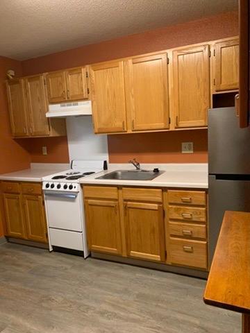 31 Chestnut Street East, Unit 3 Trimont, MN 56176 - Photo 3 of 46