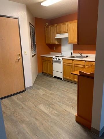 31 Chestnut Street East, Unit 3 Trimont, MN 56176 - Photo 4 of 46