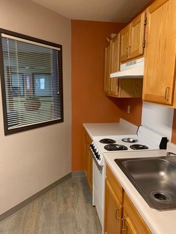 31 Chestnut Street East, Unit 3 Trimont, MN 56176 - Photo 5 of 46