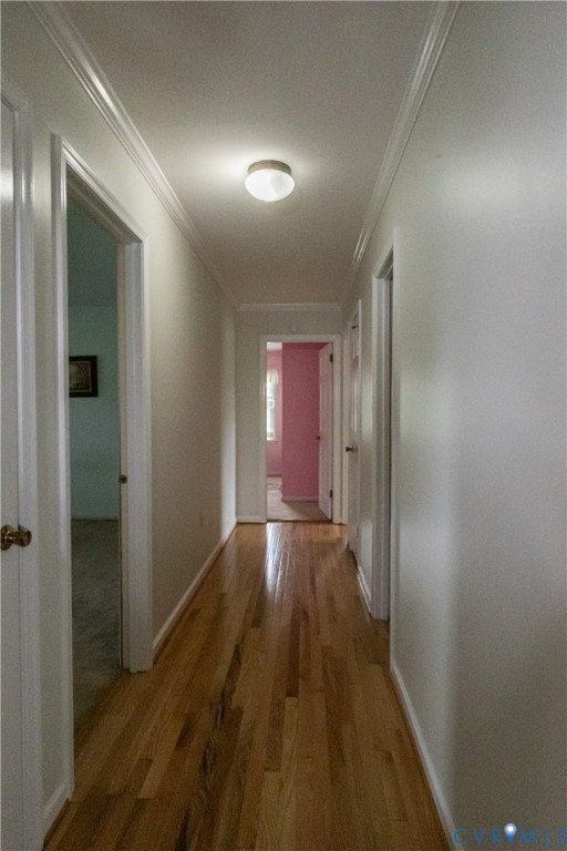309 Old Plank Road Kenbridge, VA 23944 - Photo 34 of 45 Hallway featuring wood-finish flooring, white wall