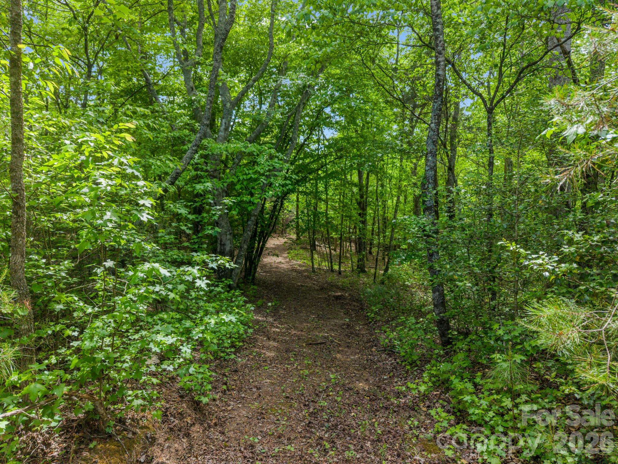 0 Romey Campbell Road Ellenboro, NC 28040 - Photo 4 of 41