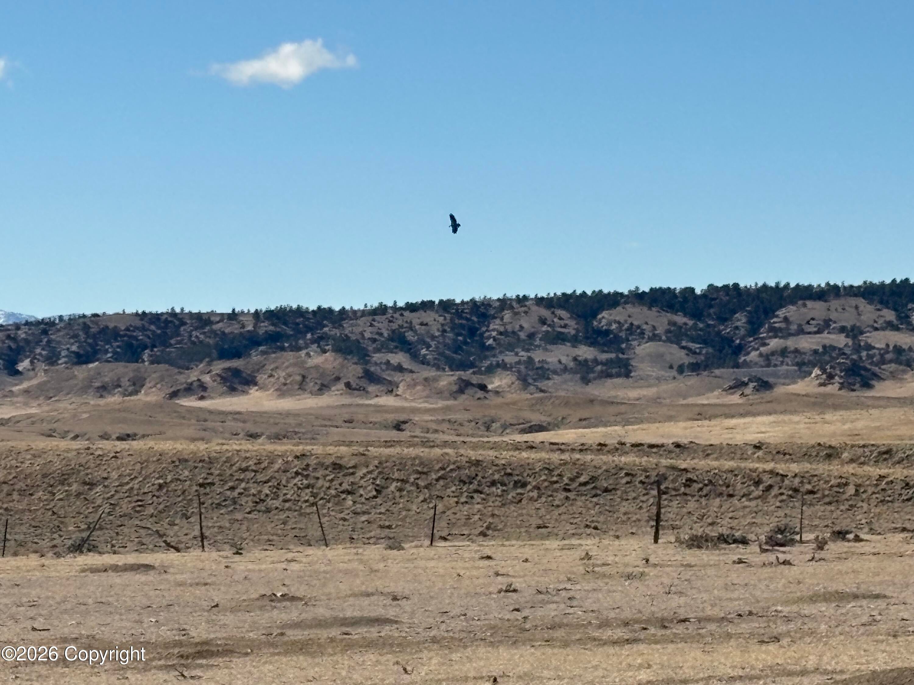 25 Gosney Road Kaycee, WY 82639 - Photo 43 of 62 Gallery Image 43