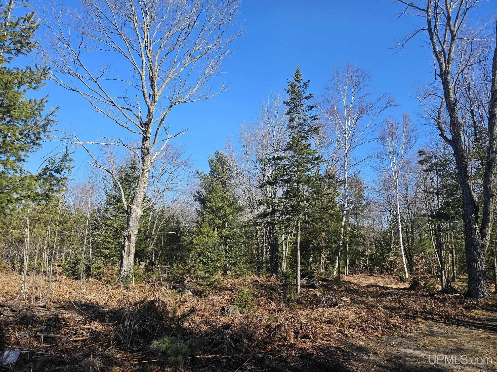 2467 Little Harbor Road Manistique, MI 49854 - Photo 32 of 68 Gallery Image 32