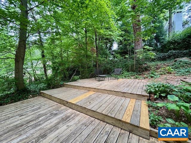1426 Dairy Road Charlottesville, VA 22903 - Photo 30 of 48