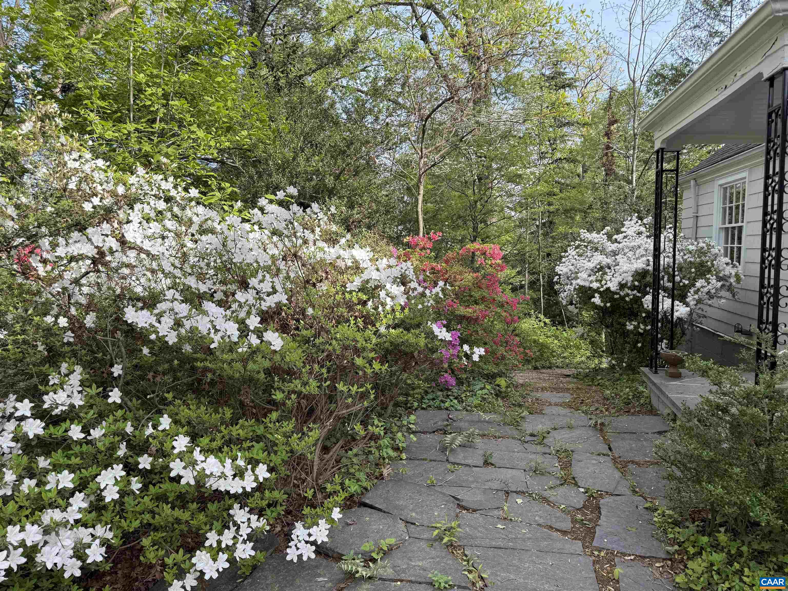 1426 Dairy Road Charlottesville, VA 22903 - Photo 35 of 48 a backyard of a house with lots of green space
