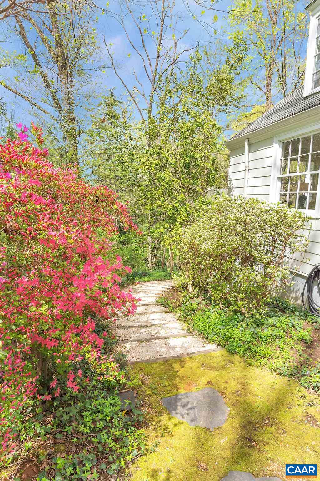 1426 Dairy Road Charlottesville, VA 22903 - Photo 40 of 48 a view of a yard with plants and large trees