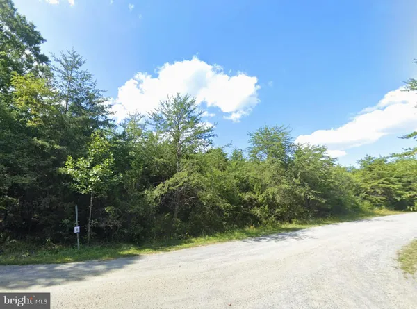 a view of a yard with plants and trees