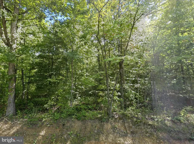 $108,950 | 0 Fieldstone Lane, Rhoadesville, VA 22542