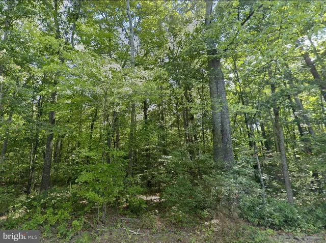 $108,950 | 0 Fieldstone Lane, Rhoadesville, VA 22542