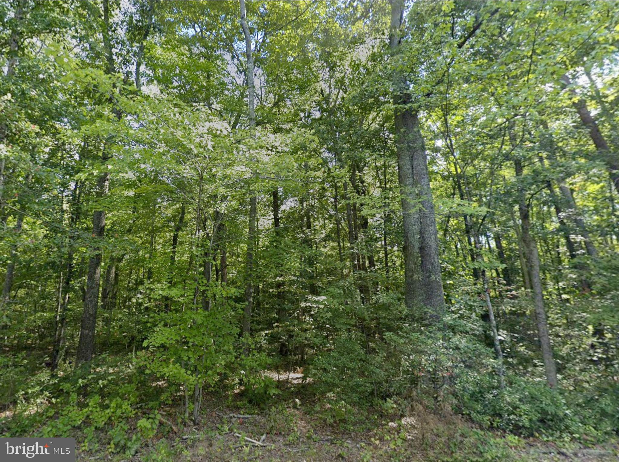 0 Fieldstone Lane Rhoadesville, VA 22542 - Photo 4 of 13