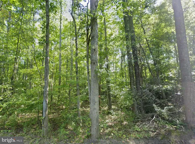 $108,950 | 0 Fieldstone Lane, Rhoadesville, VA 22542