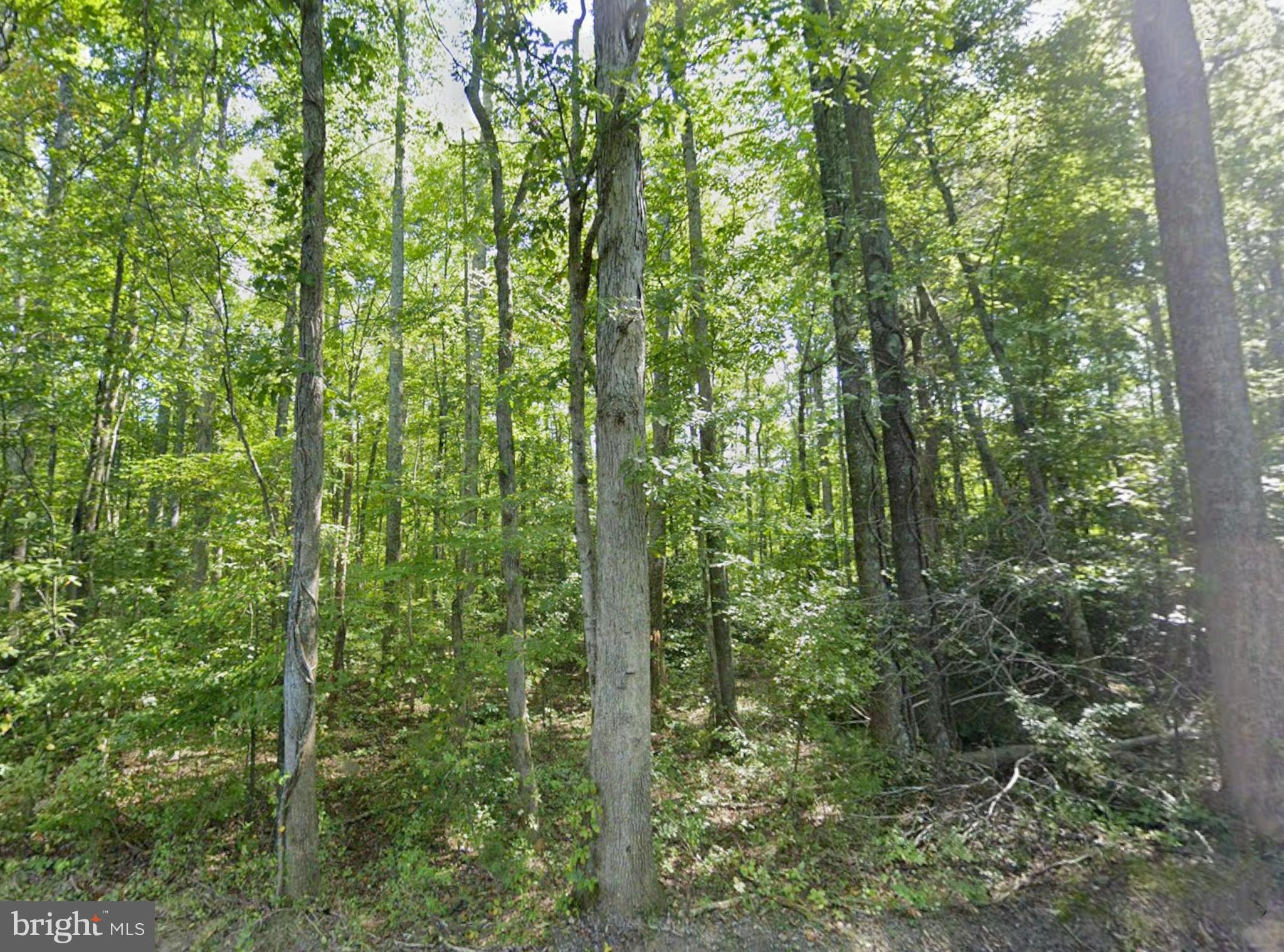 0 Fieldstone Lane Rhoadesville, VA 22542 - Photo 5 of 13