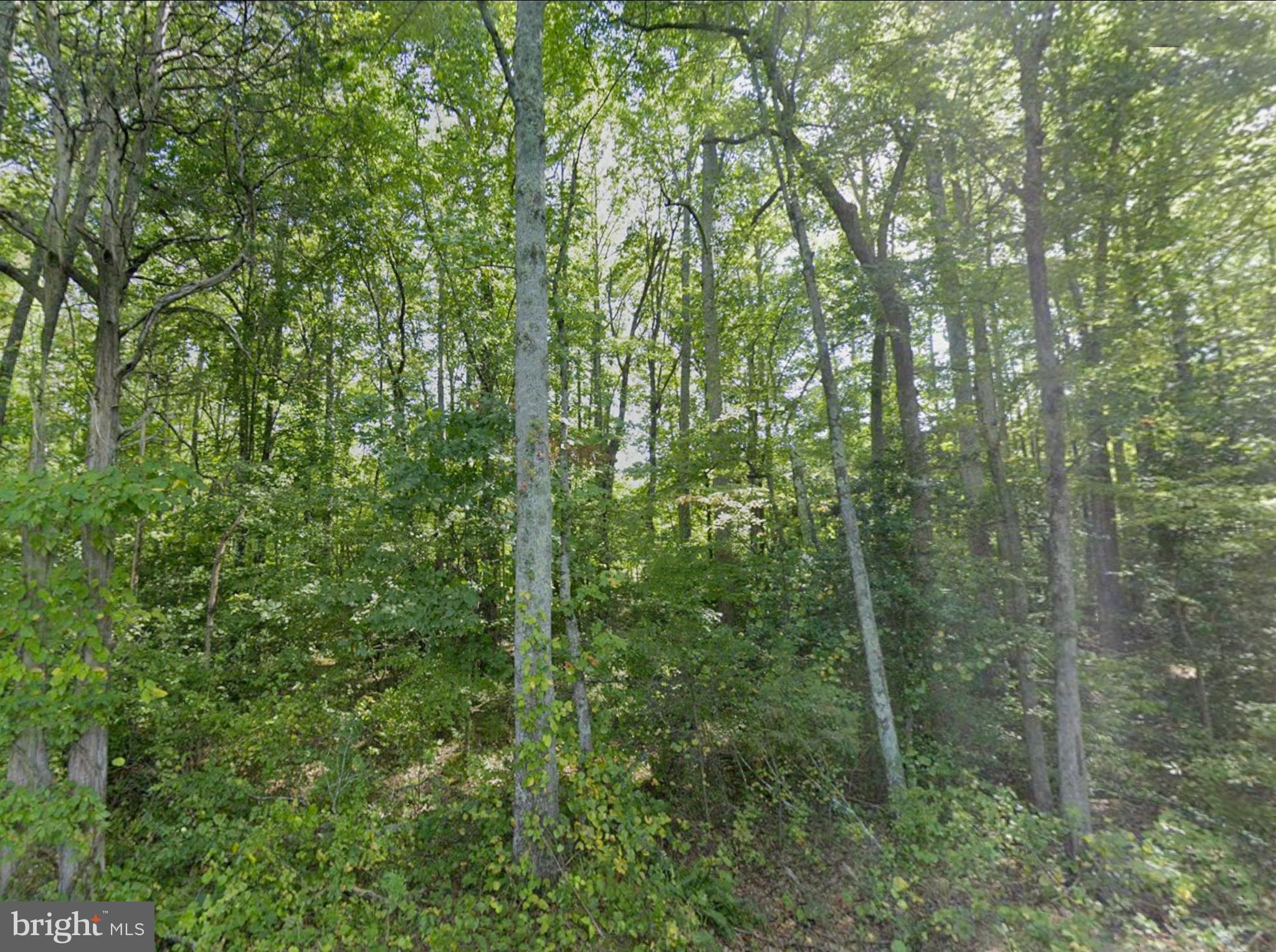 0 Fieldstone Lane Rhoadesville, VA 22542 - Photo 6 of 13