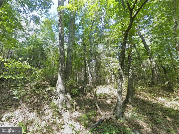 a bird view of house