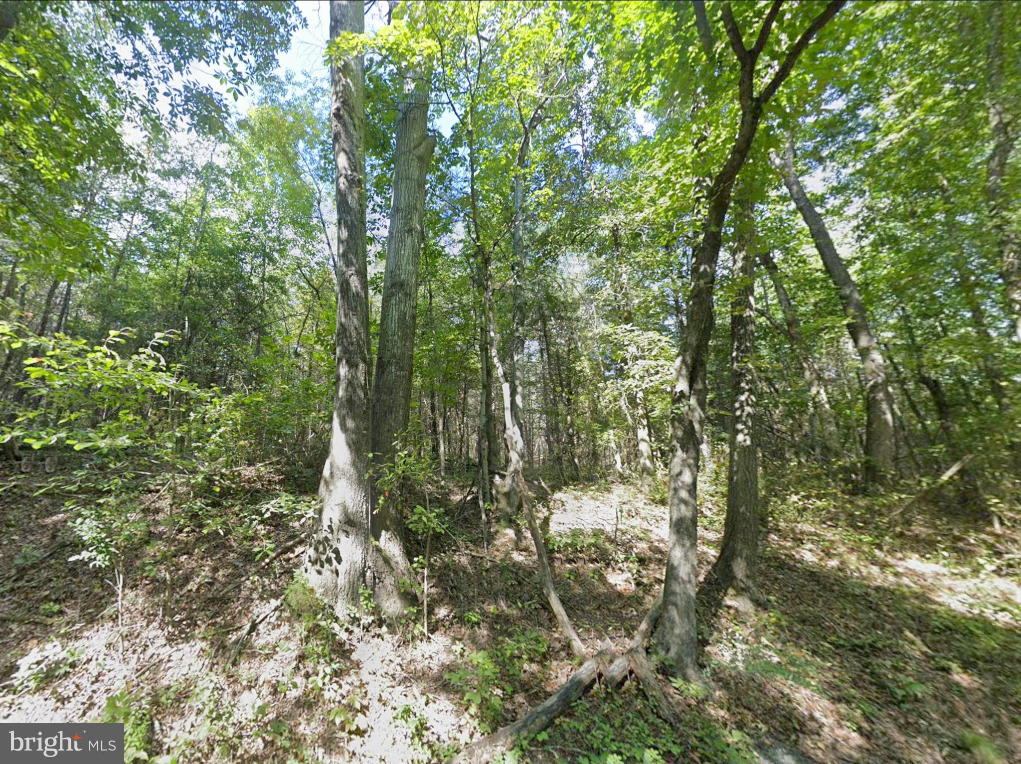 0 Fieldstone Lane Rhoadesville, VA 22542 - Photo 8 of 13