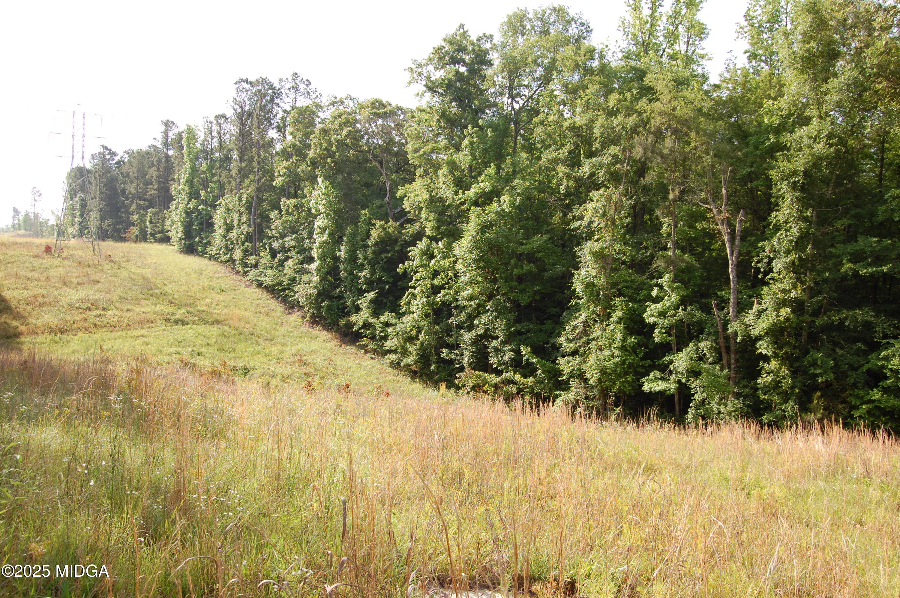 0 Hayes Farm Road Culloden, GA 31016 - Photo 16 of 33 a view of a yard