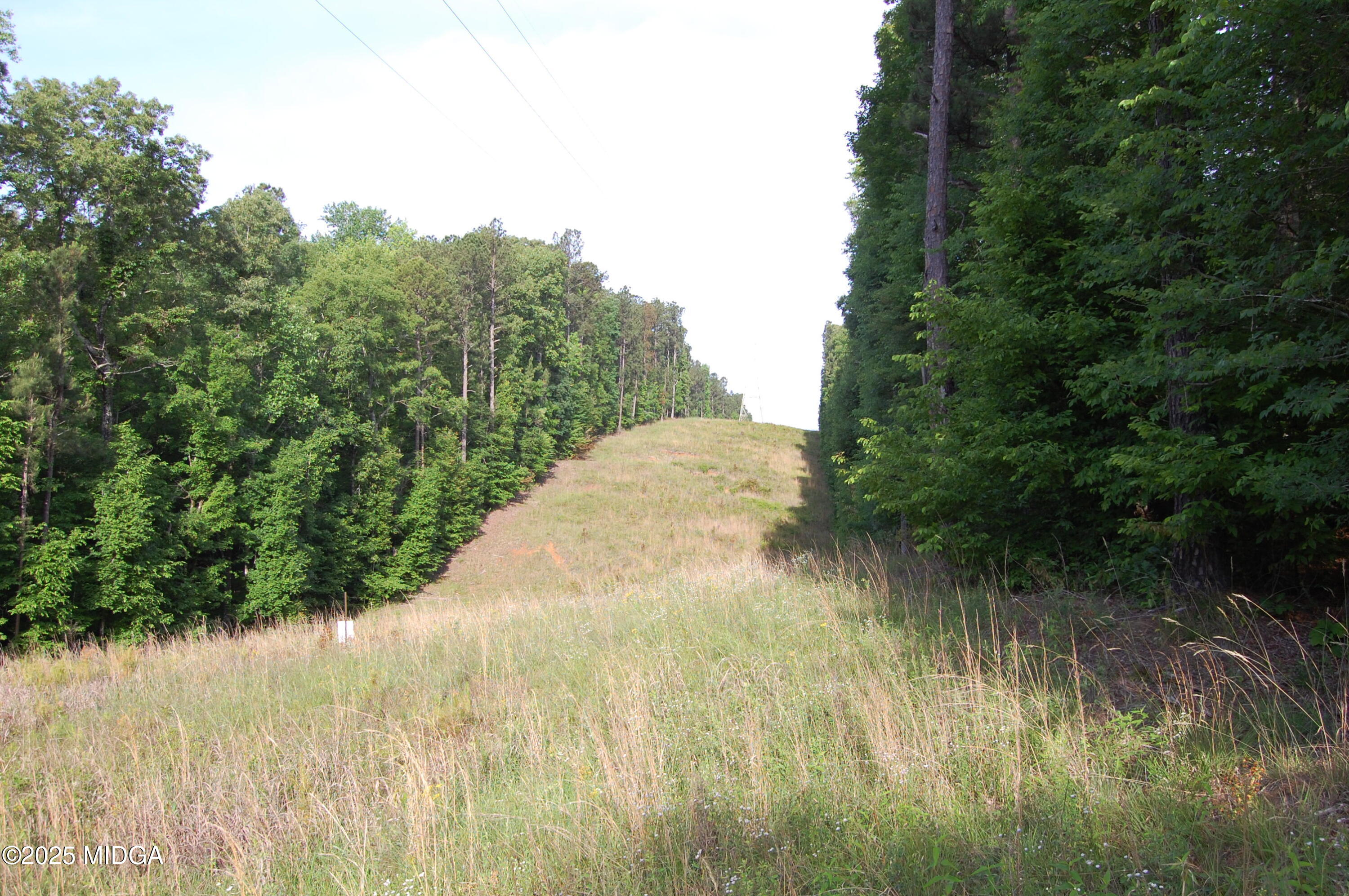 0 Hayes Farm Road Culloden, GA 31016 - Photo 17 of 33 a view of a yard